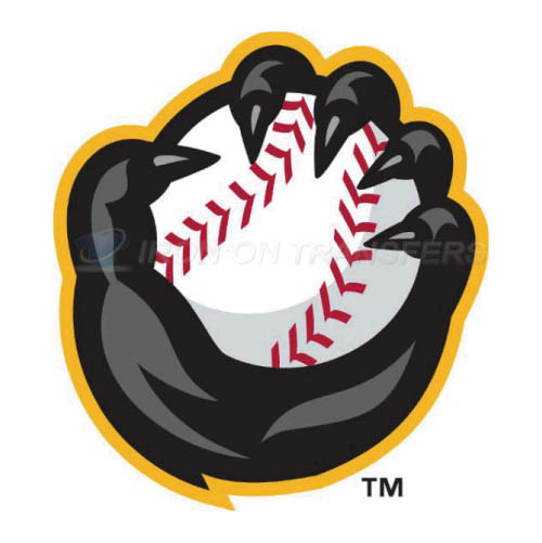 Quad Cities River Bandits Iron-on Stickers (Heat Transfers)NO.8125
